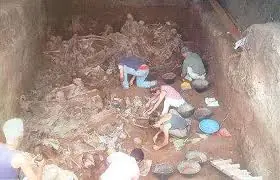 antropologia