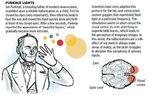 Como engañar a tu cerebro.