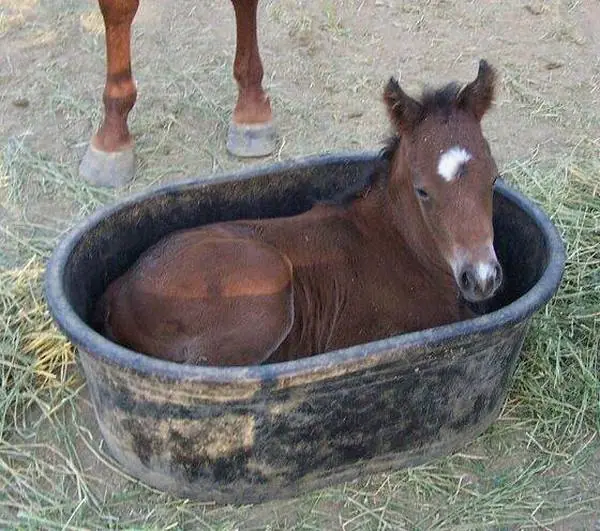 entro
