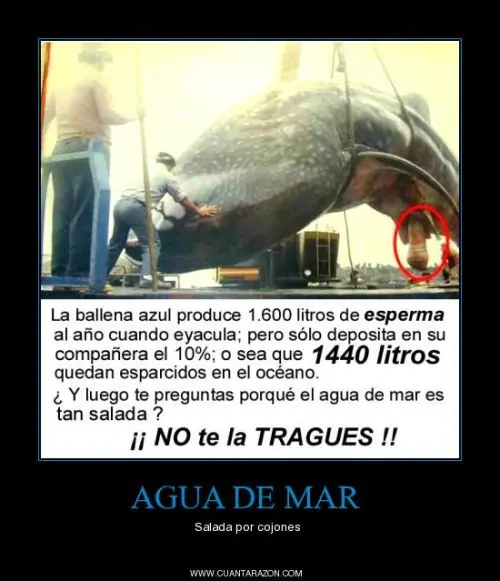 Humor grafico