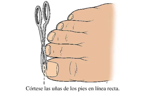 pies