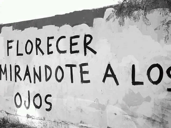 paredes escritas