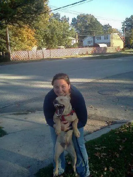 Imágenes locas y Humor fresco 0.9