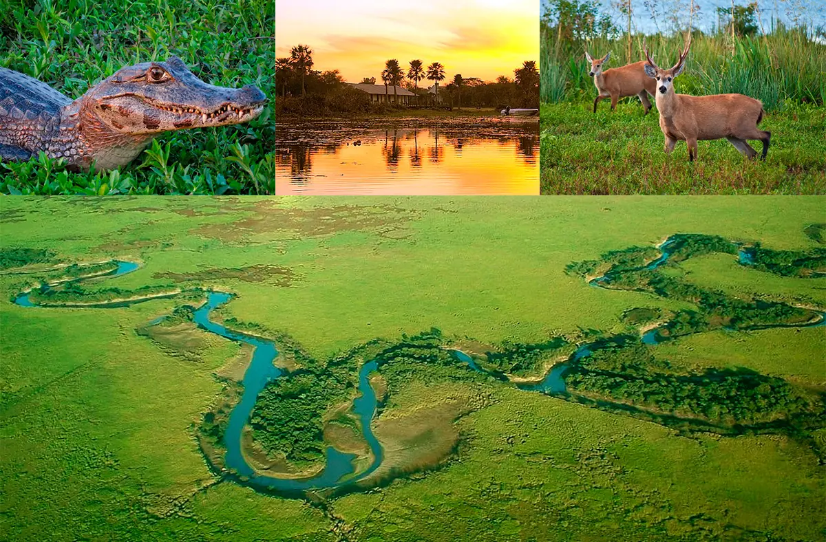 Esteros del Iberá