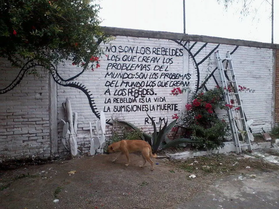 revolucion en las paredes