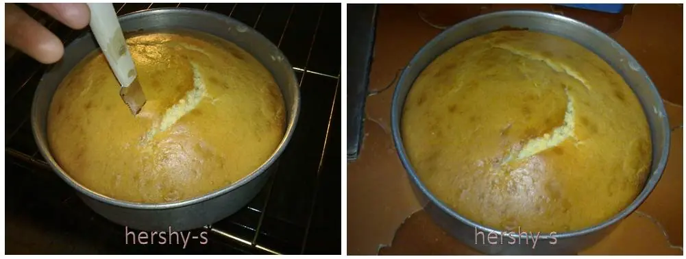 nata