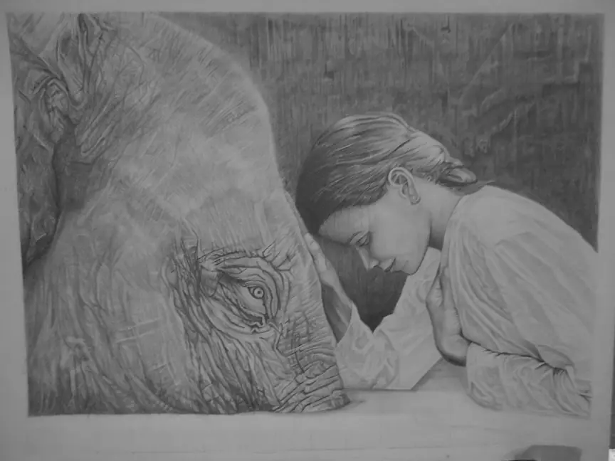 Dibujo a Grafito, realista y con Proceso