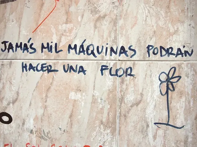 frases en paredes