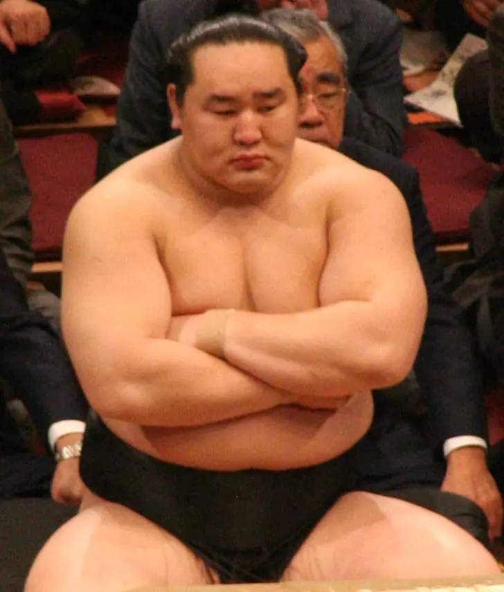 sumo
