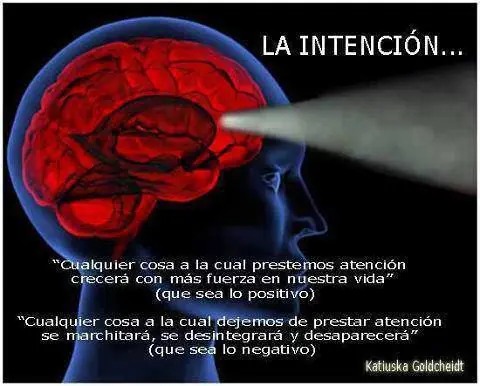 controlar nuestro ADN