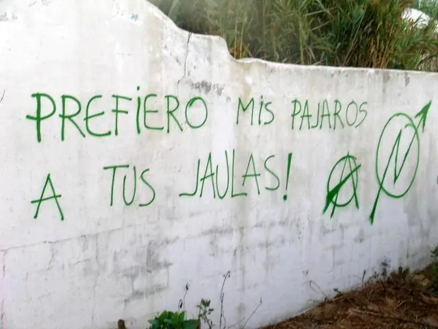 frases en paredes