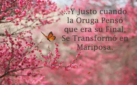 la mente crea la realidad