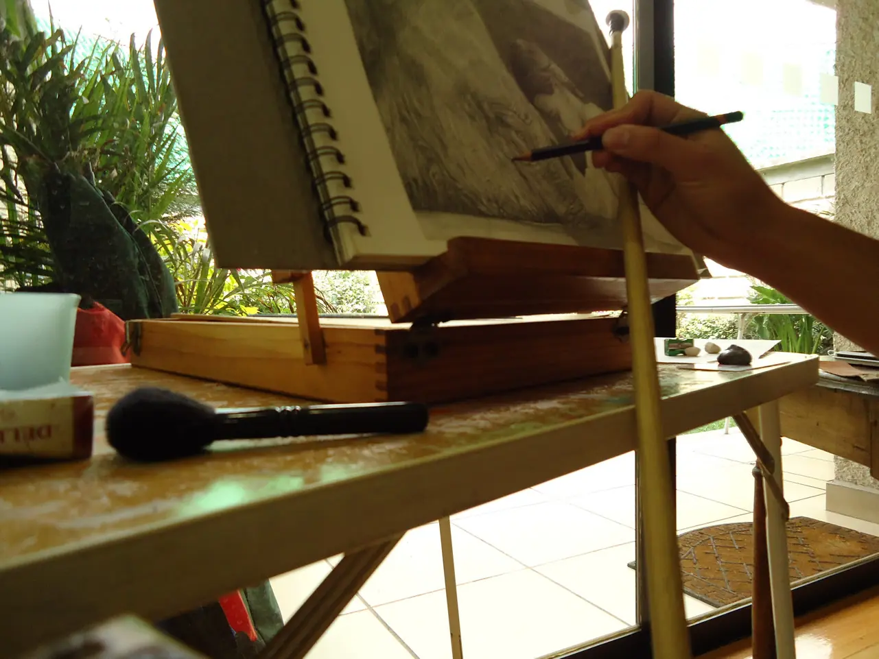 Dibujo a Grafito, realista y con Proceso