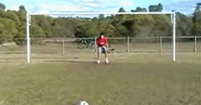 Gifs para molestar a tus amigos [Post abierto]
