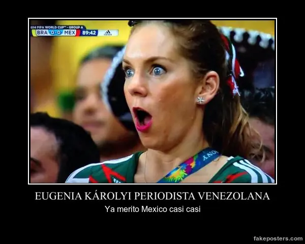partidos