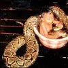 imagenes