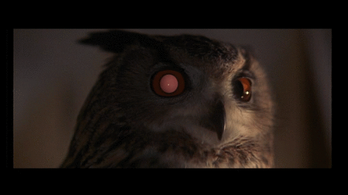 Memorias de un replicante ~ blade runner