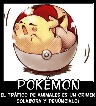 pokemon imagenes graciosas parte 3[Megapost]