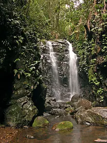 La Naturaleza Es Vida