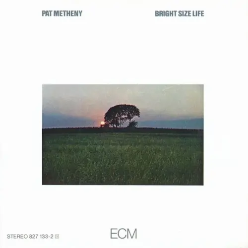 Pat Metheny