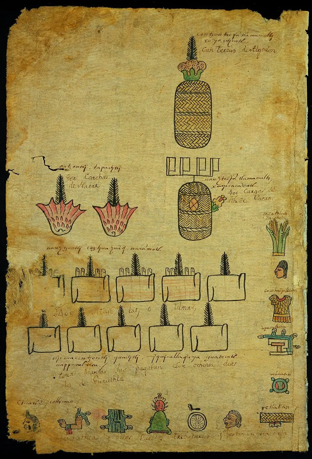 indigenas de mexico