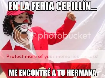 Gato traiciona a su gata jaja