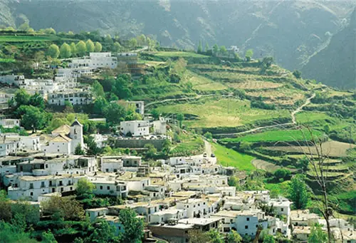 sierra nevada
