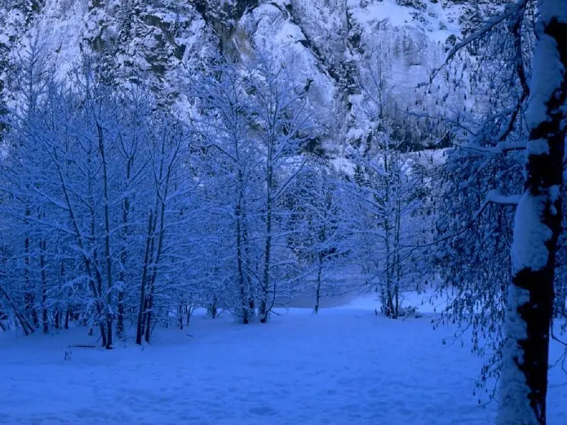 HD