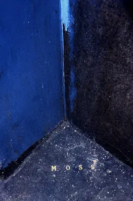 Dan Witz: De Arte Callejero y Punk-Rock en la Galería
