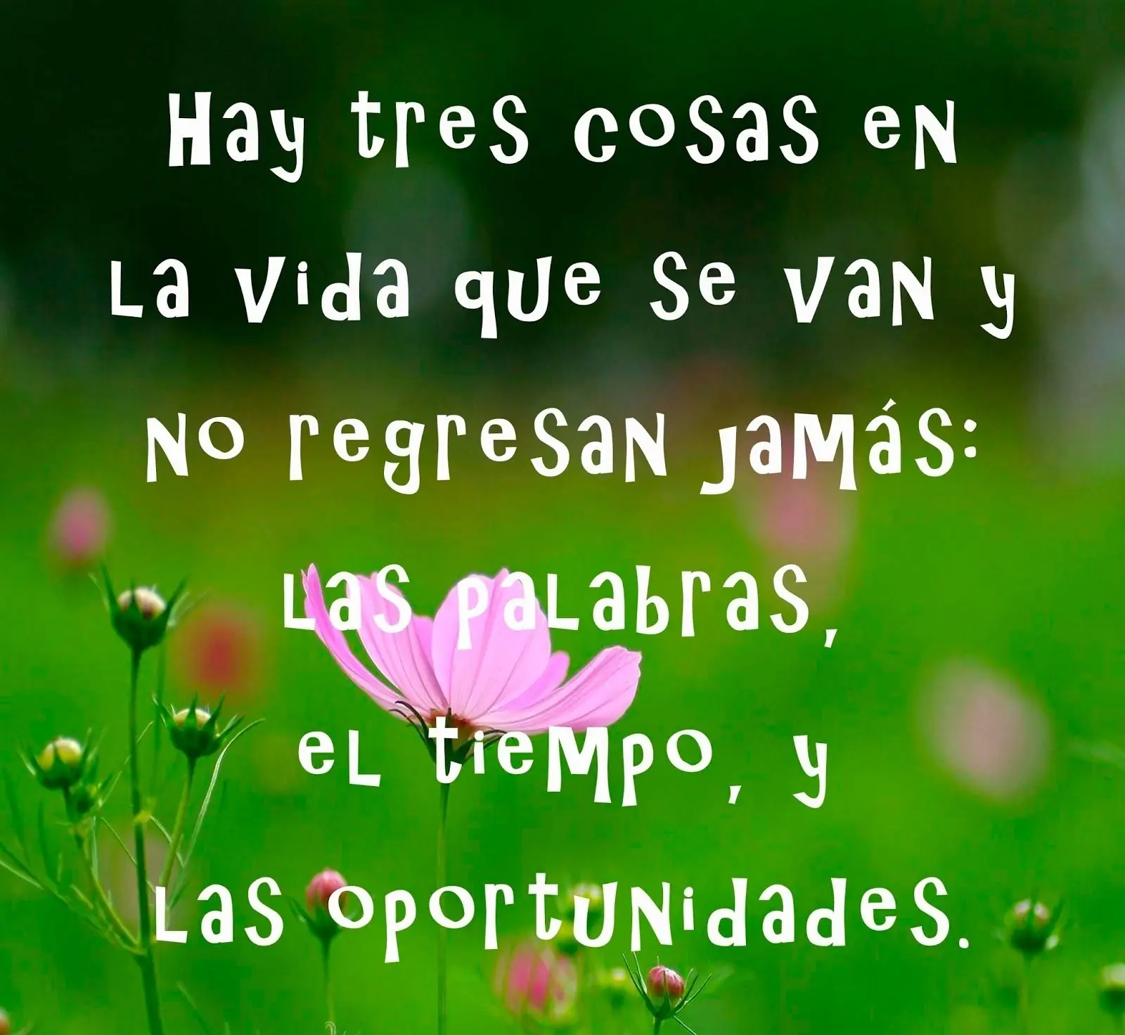 reglexion y pensamientos