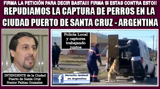 No a la matanza de Perros en mi Provincia !