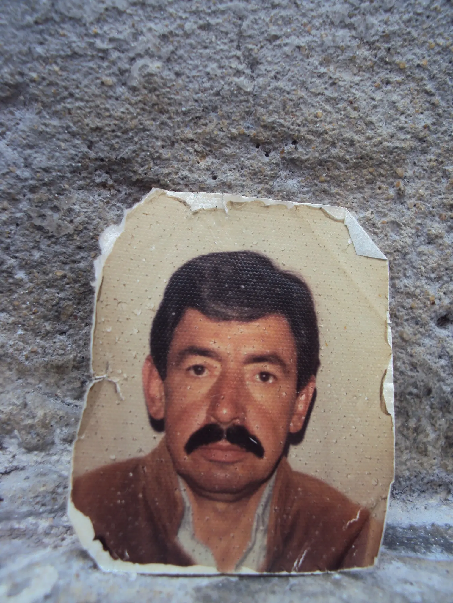 Retrato a lapiz