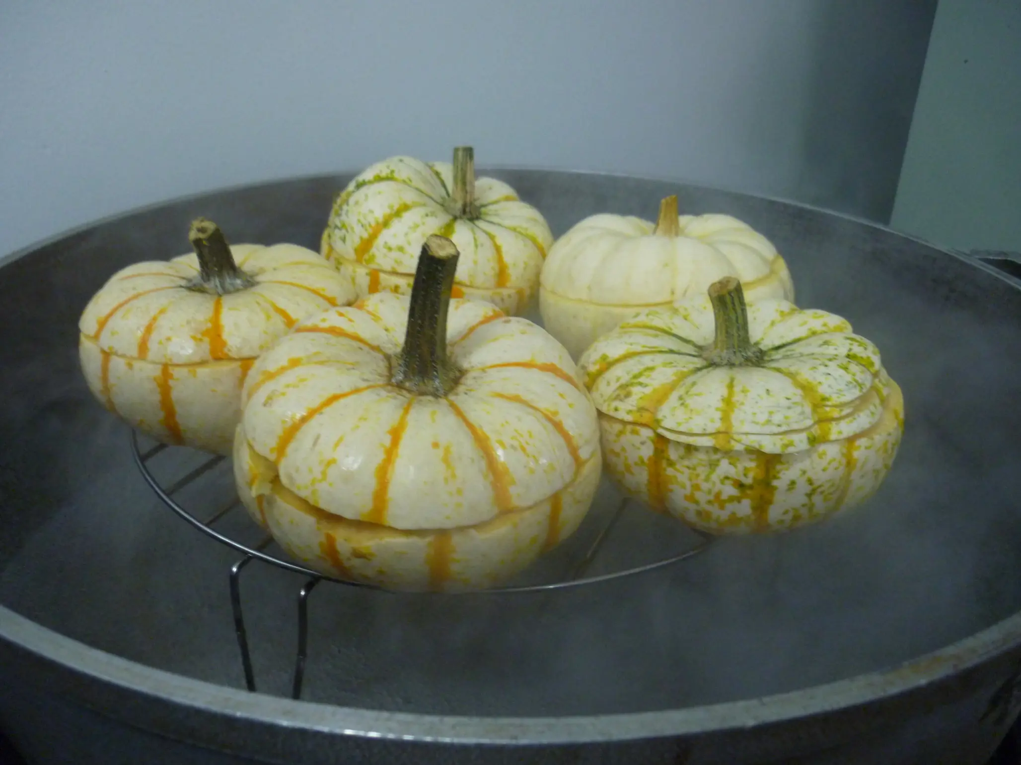 rellena