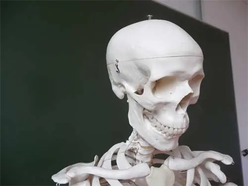 Me armé una impresora 3D y te la muestro (actualizable)