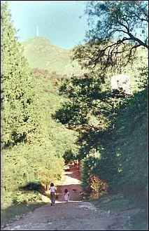 Valle