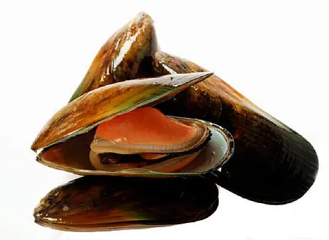 Almejas