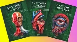 clinica