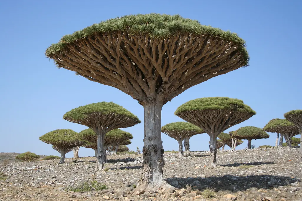 maravillas del mundo