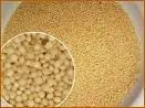 quinoa