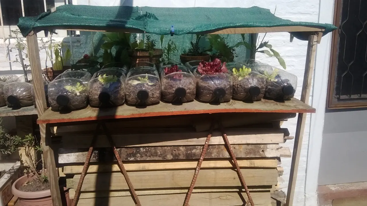 botellas de plastico