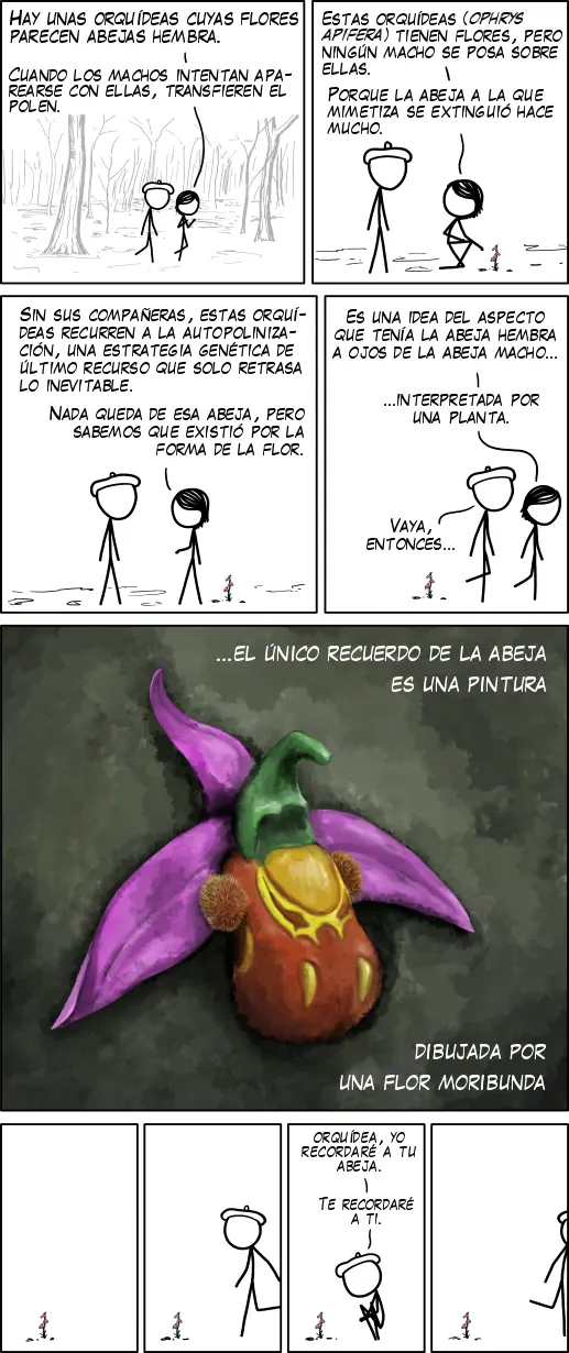 Recuerdos de algo que ya no será (Orquídea Abeja)