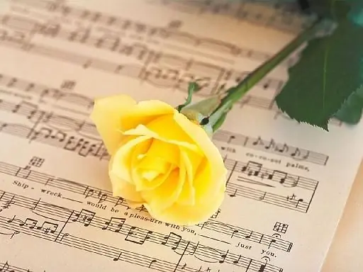 Rosas, el significado de cada una y soñar con ellas