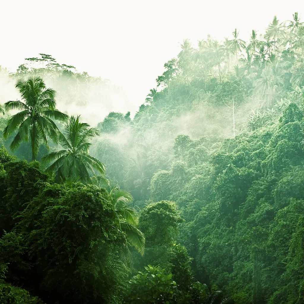 verde es