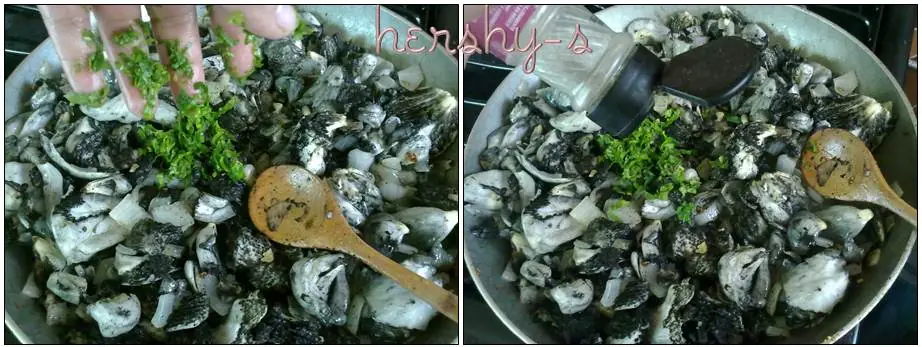 hongos