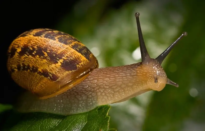 Te traigo 45 Maneras de Relajarse