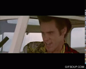 Gifs
