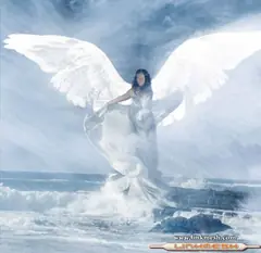 angel gris