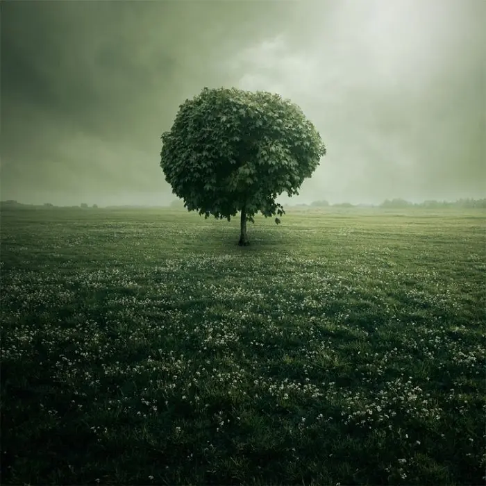 verde