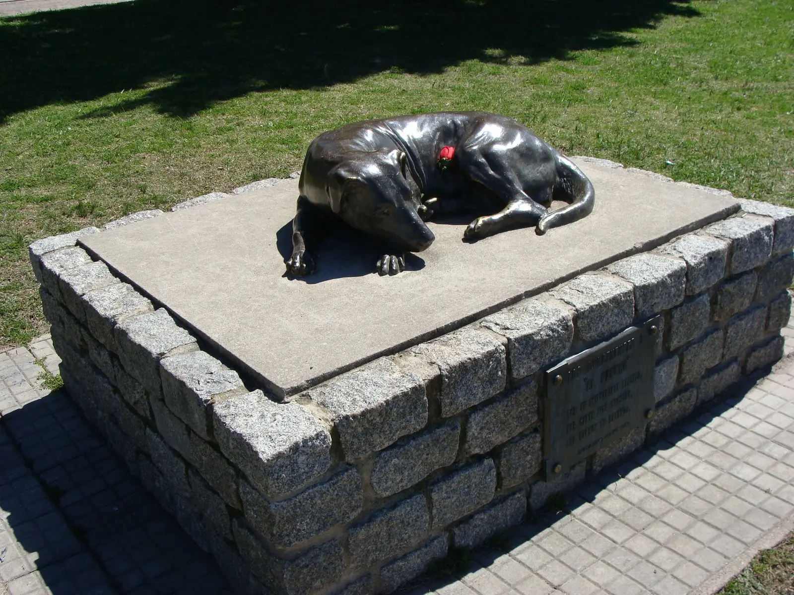 de perros