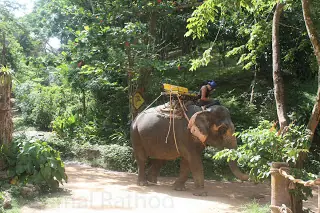 Enamorate de Kata Beach en Tailandia